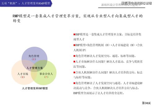 新組織設(shè)計管理咨詢項目建議書